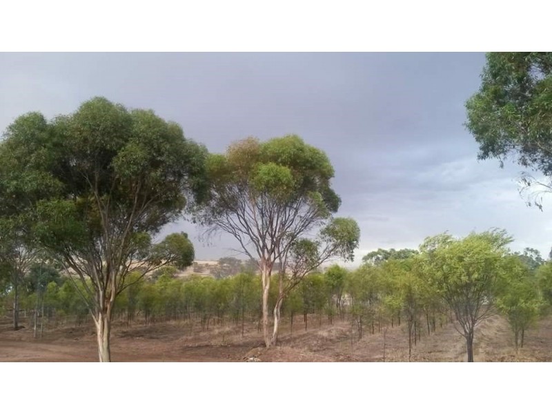 290 Railway Road, Toodyay WA 6566