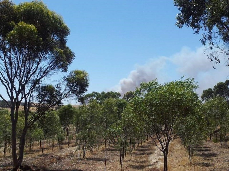 290 Railway Road, Toodyay WA 6566