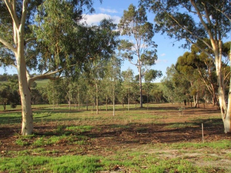 290 Railway Road, Toodyay WA 6566