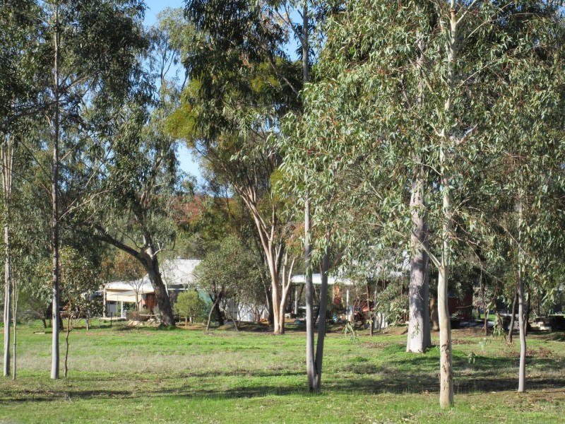 290 Railway Road, Toodyay WA 6566