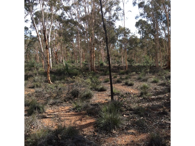 129 Wandoo Circle, Toodyay WA 6566