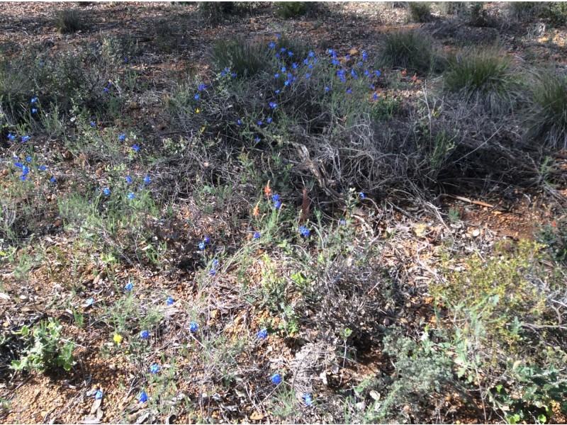 129 Wandoo Circle, Toodyay WA 6566