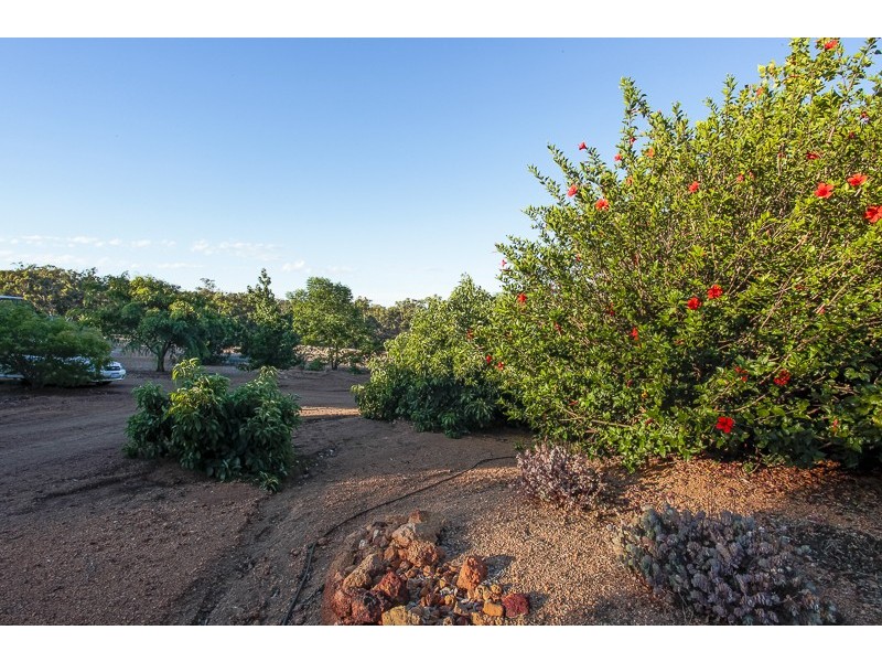 459 (Lot 2 Parkland Drive, Toodyay WA 6566