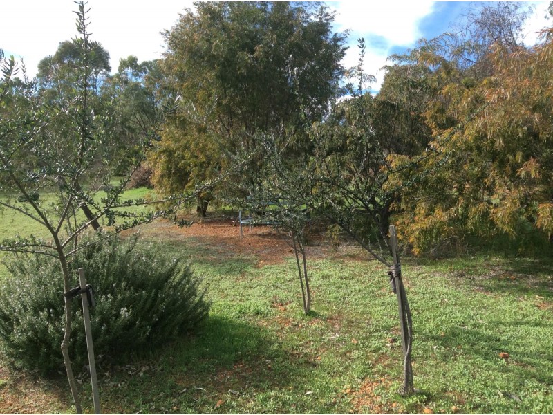 14 MEADOW PLACE, Toodyay WA 6566