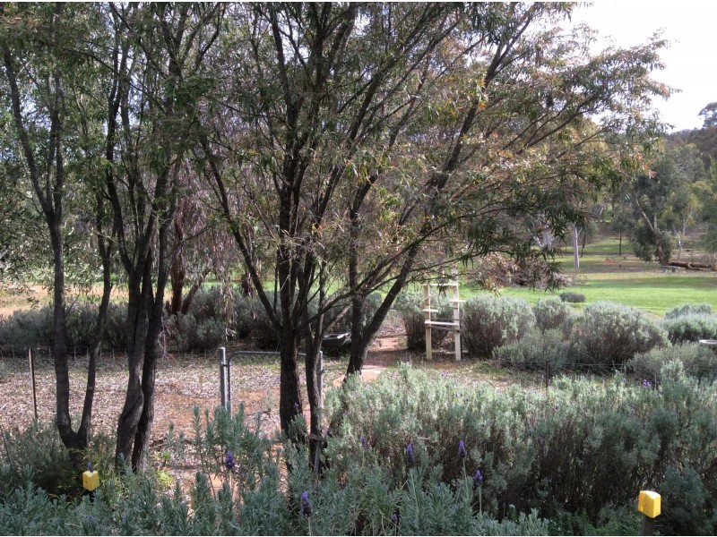 14 MEADOW PLACE, Toodyay WA 6566