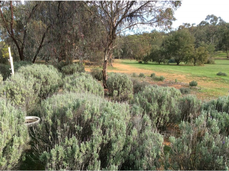 14 MEADOW PLACE, Toodyay WA 6566