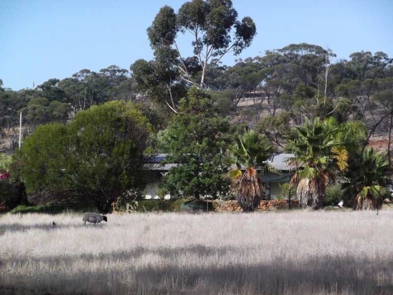 21 Hassell Close, Toodyay WA 6566