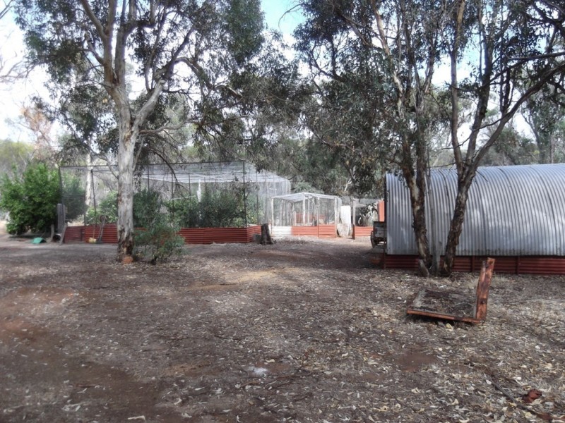229 Sand Spring Road, Toodyay WA 6566