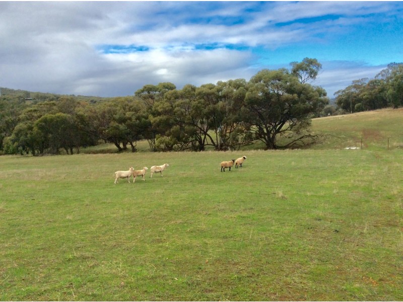 10 Kane Road, Toodyay WA 6566