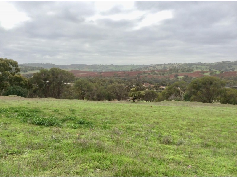 L53 Julimar Road, Toodyay WA 6566