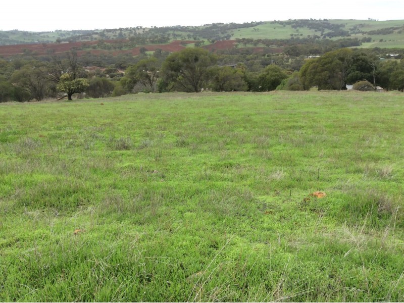 L53 Julimar Road, Toodyay WA 6566