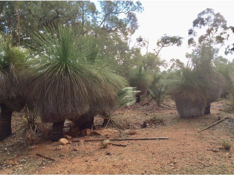 53 Darwinia Crescent, Toodyay WA 6566