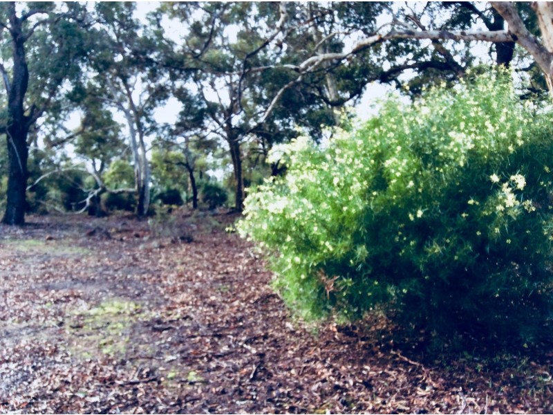 53 Darwinia Crescent, Toodyay WA 6566