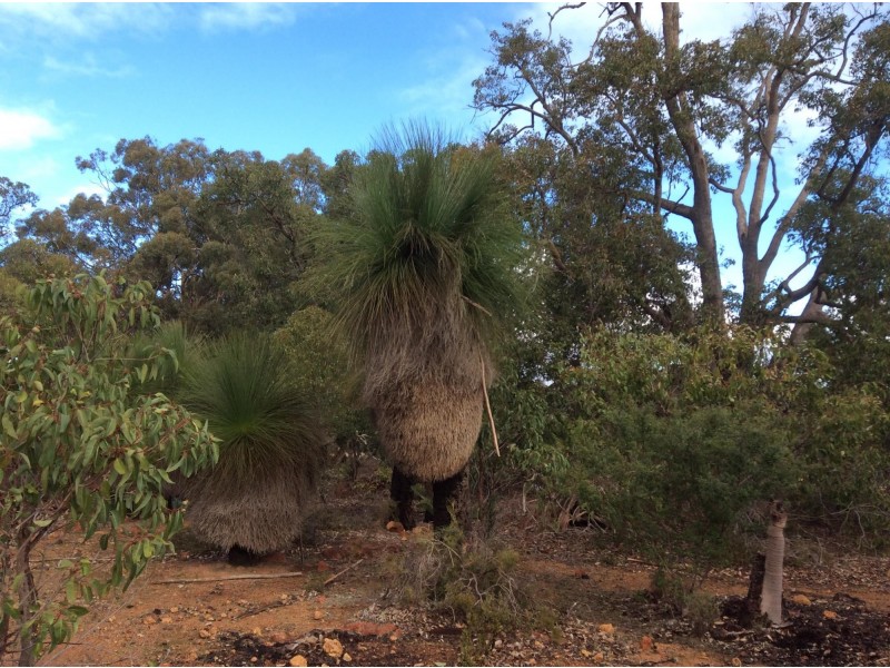 53 Darwinia Crescent, Toodyay WA 6566