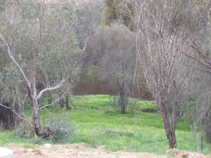 44 Stirling Terrace, Toodyay WA 6566