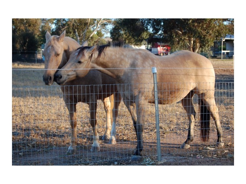 150 Phillips Road, Toodyay WA 6566