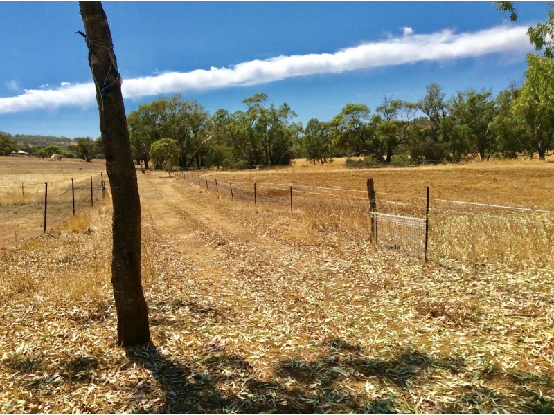 113 Bowers Road, Toodyay WA 6566