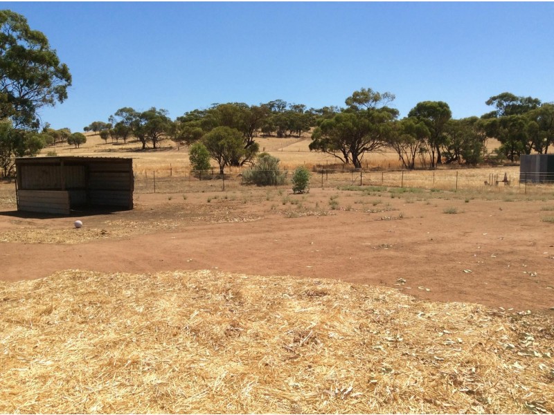 113 Bowers Road, Toodyay WA 6566