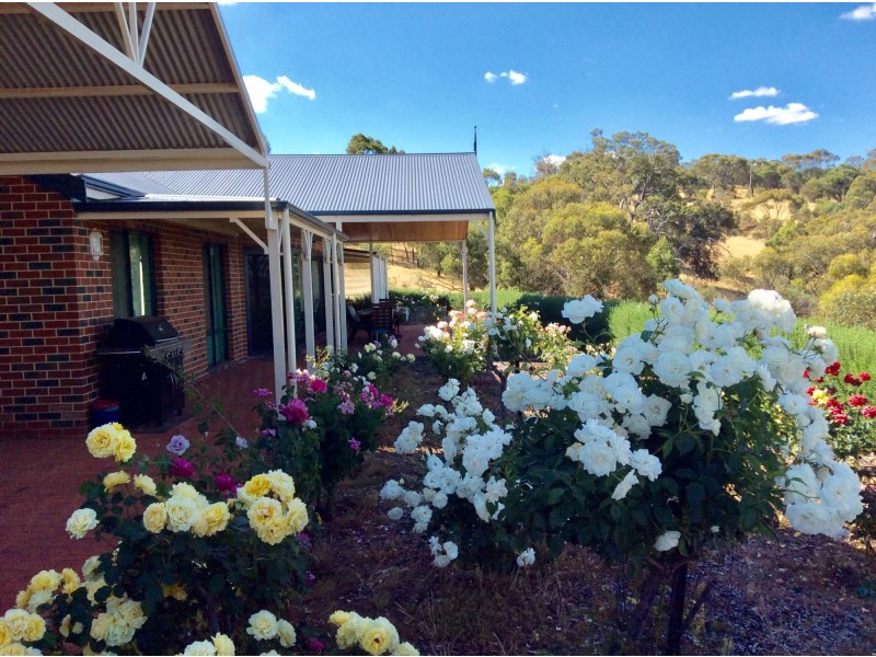 203 Timber Creek Crescent, Toodyay WA 6566