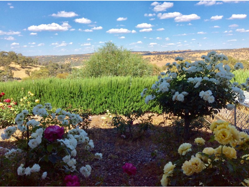 203 Timber Creek Crescent, Toodyay WA 6566