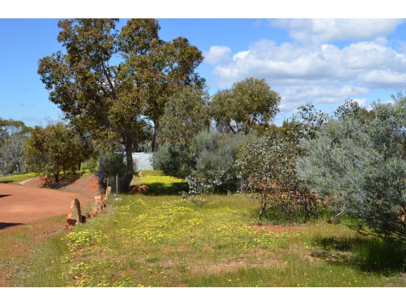 203 Timber Creek Crescent, Toodyay WA 6566