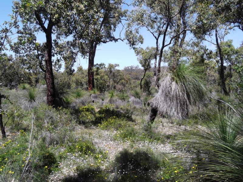 664 Coondle West Road, Toodyay WA 6566