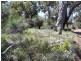 664 Coondle West Road, Toodyay WA 6566