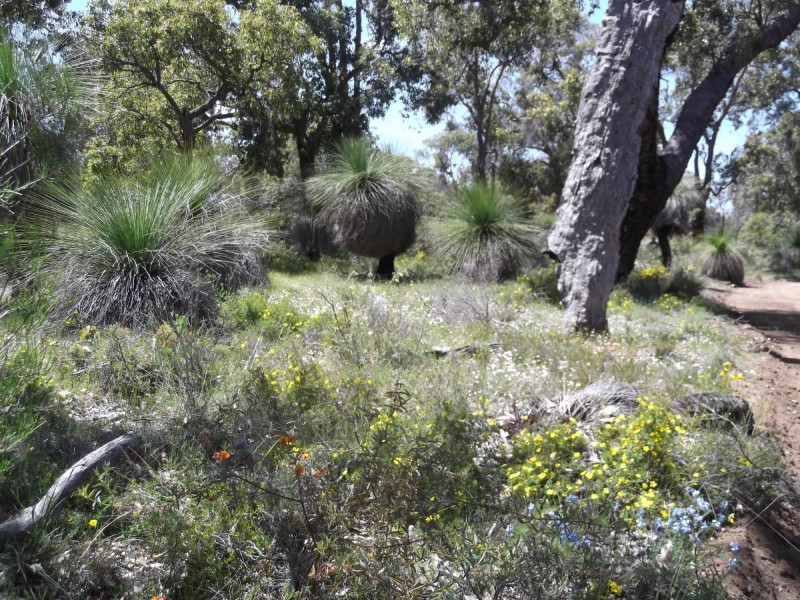 664 Coondle West Road, Toodyay WA 6566