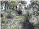 664 Coondle West Road, Toodyay WA 6566