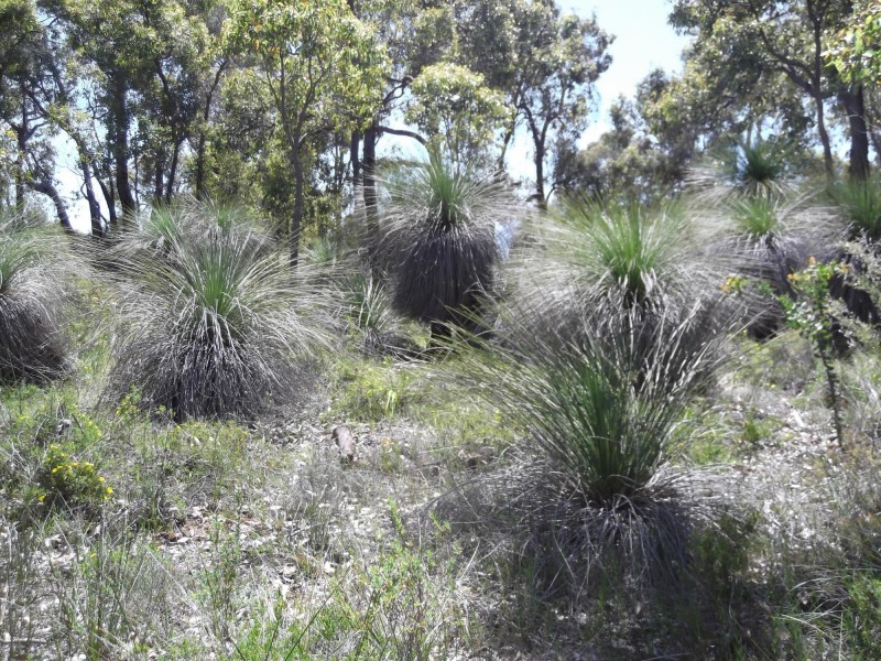 664 Coondle West Road, Toodyay WA 6566