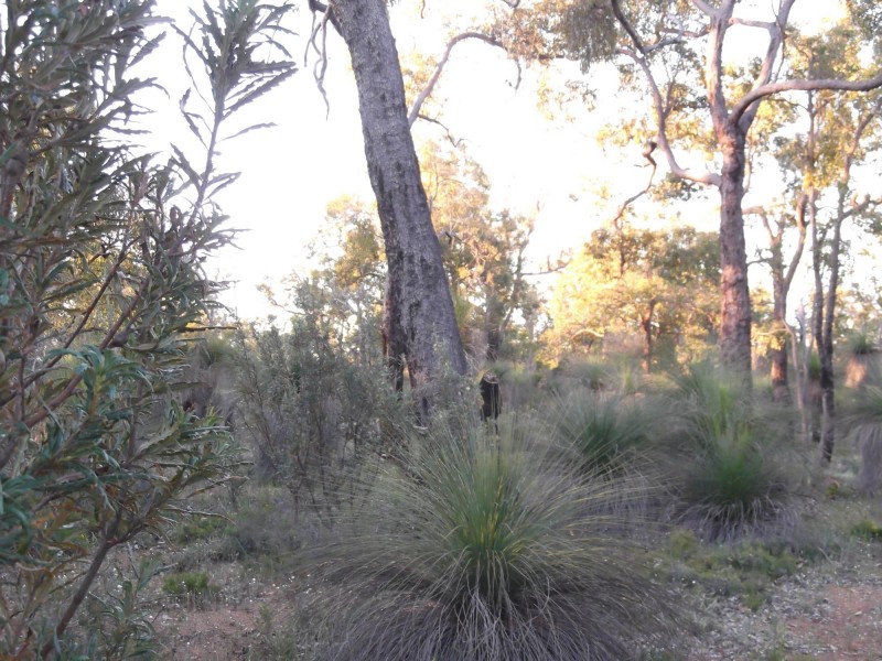 664 Coondle West Road, Toodyay WA 6566