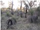 664 Coondle West Road, Toodyay WA 6566