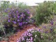 45 Jubilee Street, Toodyay WA 6566