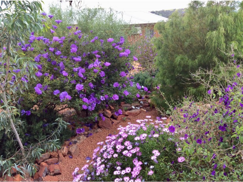 45 Jubilee Street, Toodyay WA 6566