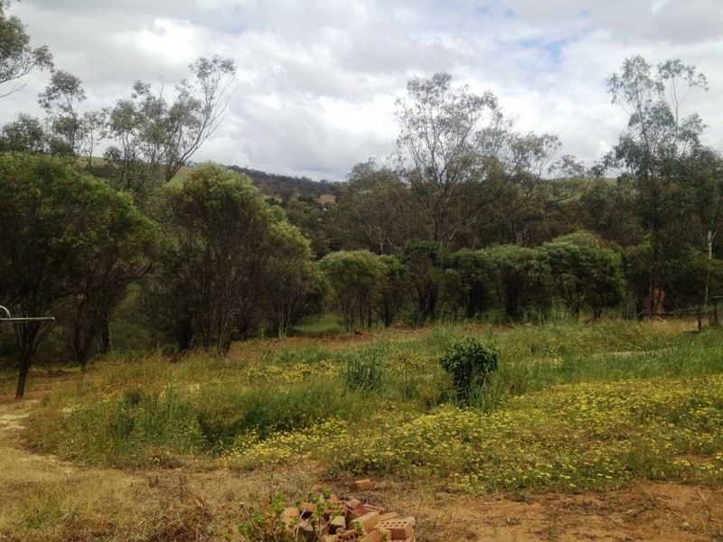 35 Toodyay Street, Toodyay WA 6566