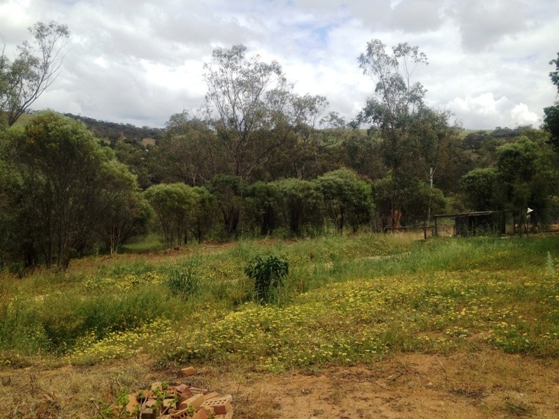 35 Toodyay Street, Toodyay WA 6566