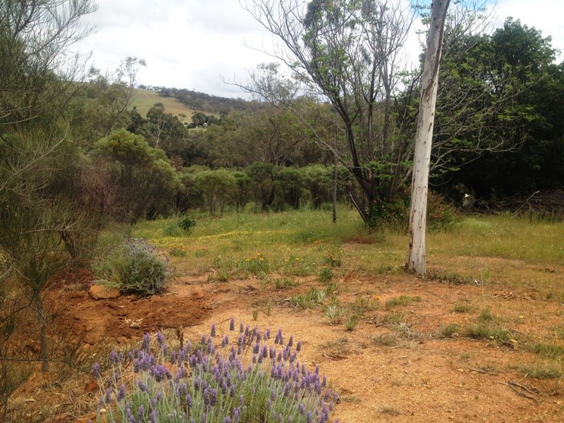 35 Toodyay Street, Toodyay WA 6566