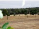 Toodyay WA 6566
