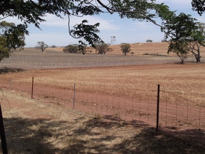 2381 Goomalling-Toodyay Road, Toodyay WA 6566