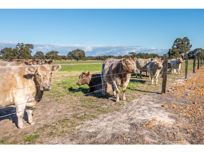 3191 Great Northern Highway, Bullsbrook WA 6084