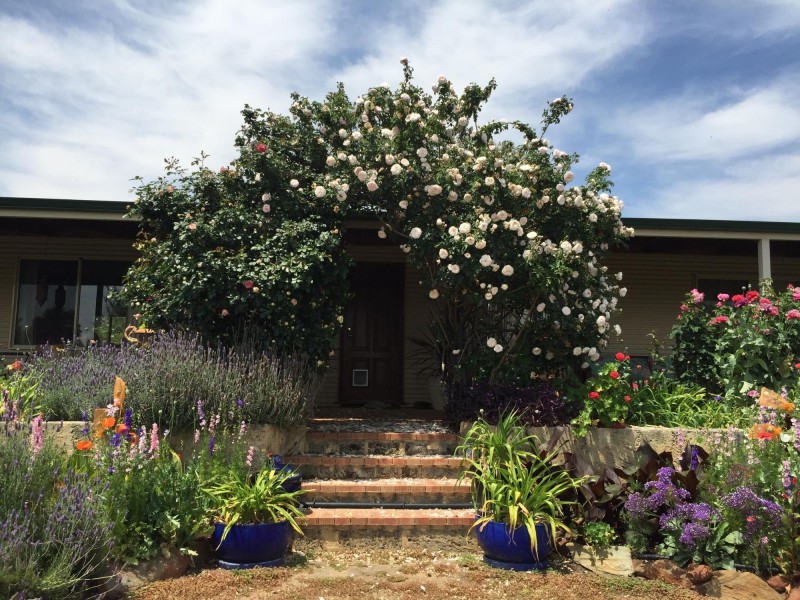 121 (Lot 1 Whitfield Rd, Toodyay WA 6566