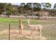121 (Lot 1 Whitfield Rd, Toodyay WA 6566
