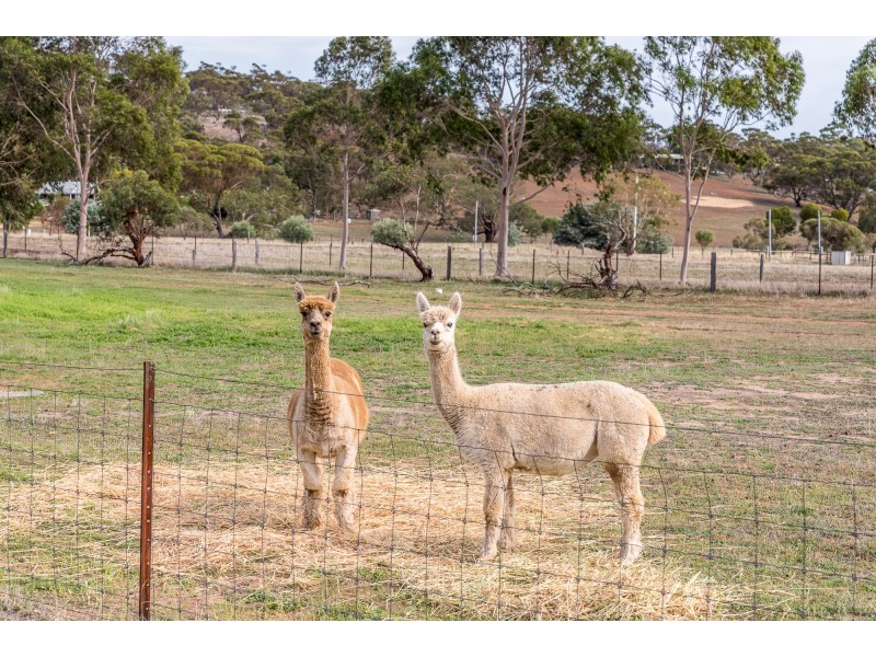 121 (Lot 1 Whitfield Rd, Toodyay WA 6566