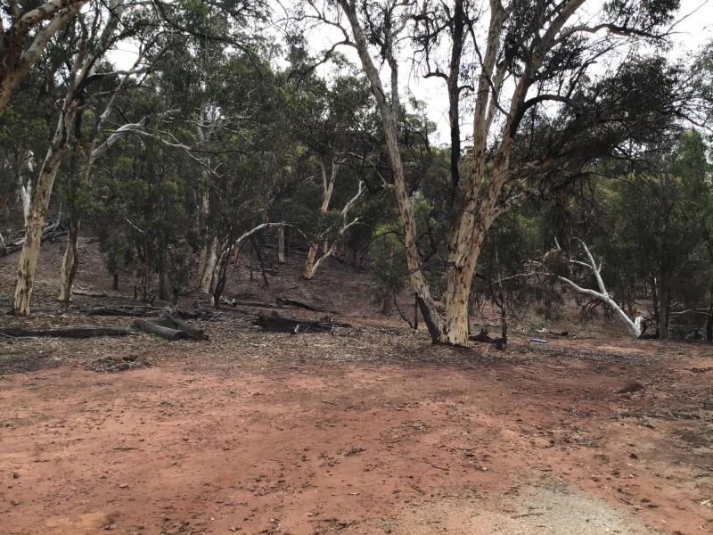 60 Timber Creek Crescent, Toodyay WA 6566