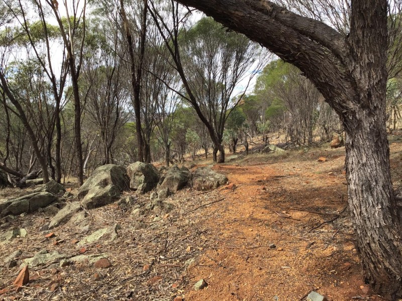 60 Timber Creek Crescent, Toodyay WA 6566