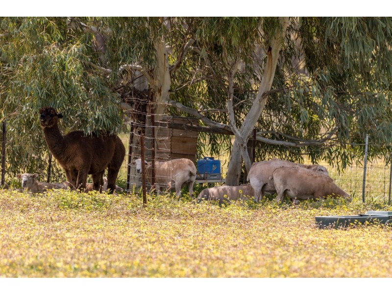 39 Blackstone Retreat, Bejoording WA 6566