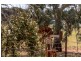 39 Blackstone Retreat, Bejoording WA 6566