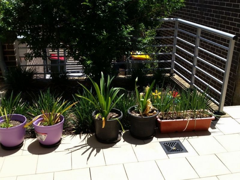 55 Birchgrove Crescent, Eastwood NSW 2122