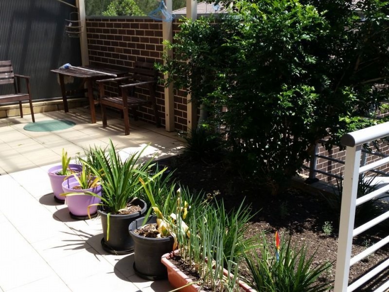 55 Birchgrove Crescent, Eastwood NSW 2122