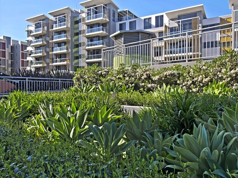 216/4 Seven Street, Epping NSW 2121